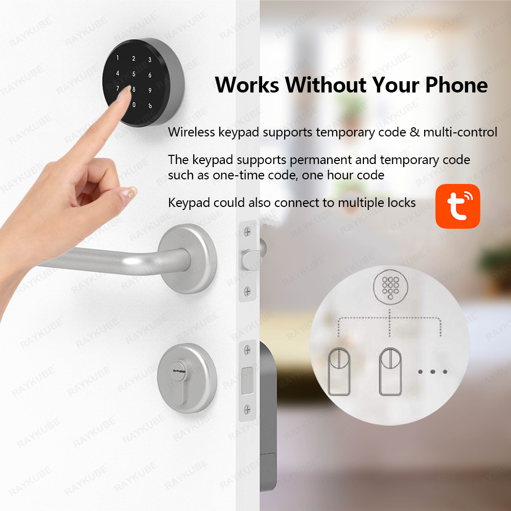 RAYKUBE A1 Pro Tuya BEL 스마트 도어 - Smart Door Lock Wifi 리뷰 및 가격
