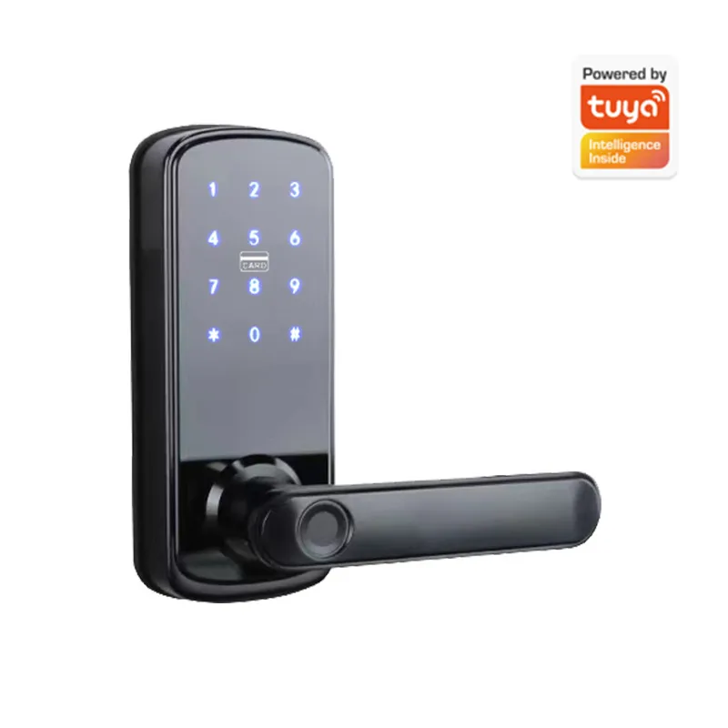 단일 비밀번호 및 지문 인식 기능이 있는 나무 문용 스 - Smart Door Lock Wifi 리뷰 및 가격