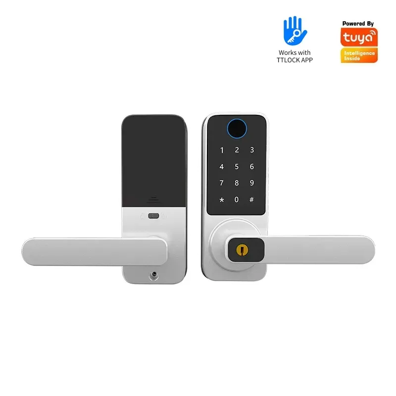 단일 비밀번호 및 지문 인식 기능이 있는 나무 문용 스 - Smart Door Lock Wifi 리뷰 및 가격