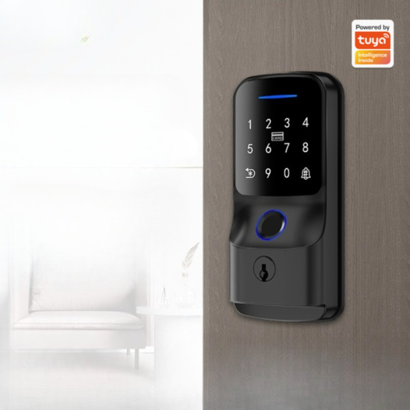 자동 잠금 기능이 있는 스마트 비밀번호 잠금장치, Tu - Smart Door Lock Wifi 리뷰 및 가격