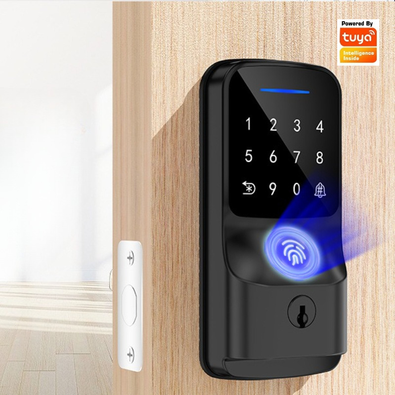 자동 잠금 기능이 있는 스마트 비밀번호 잠금장치, Tu - Smart Door Lock Wifi 리뷰 및 가격
