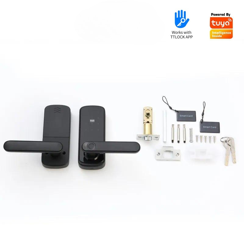 투야(Tuya) Wi-Fi 비밀번호 및 지문 인식 잠금 - Smart Door Lock Wifi 리뷰 및 가격